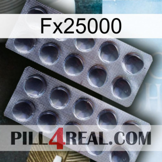 Fx25000 31